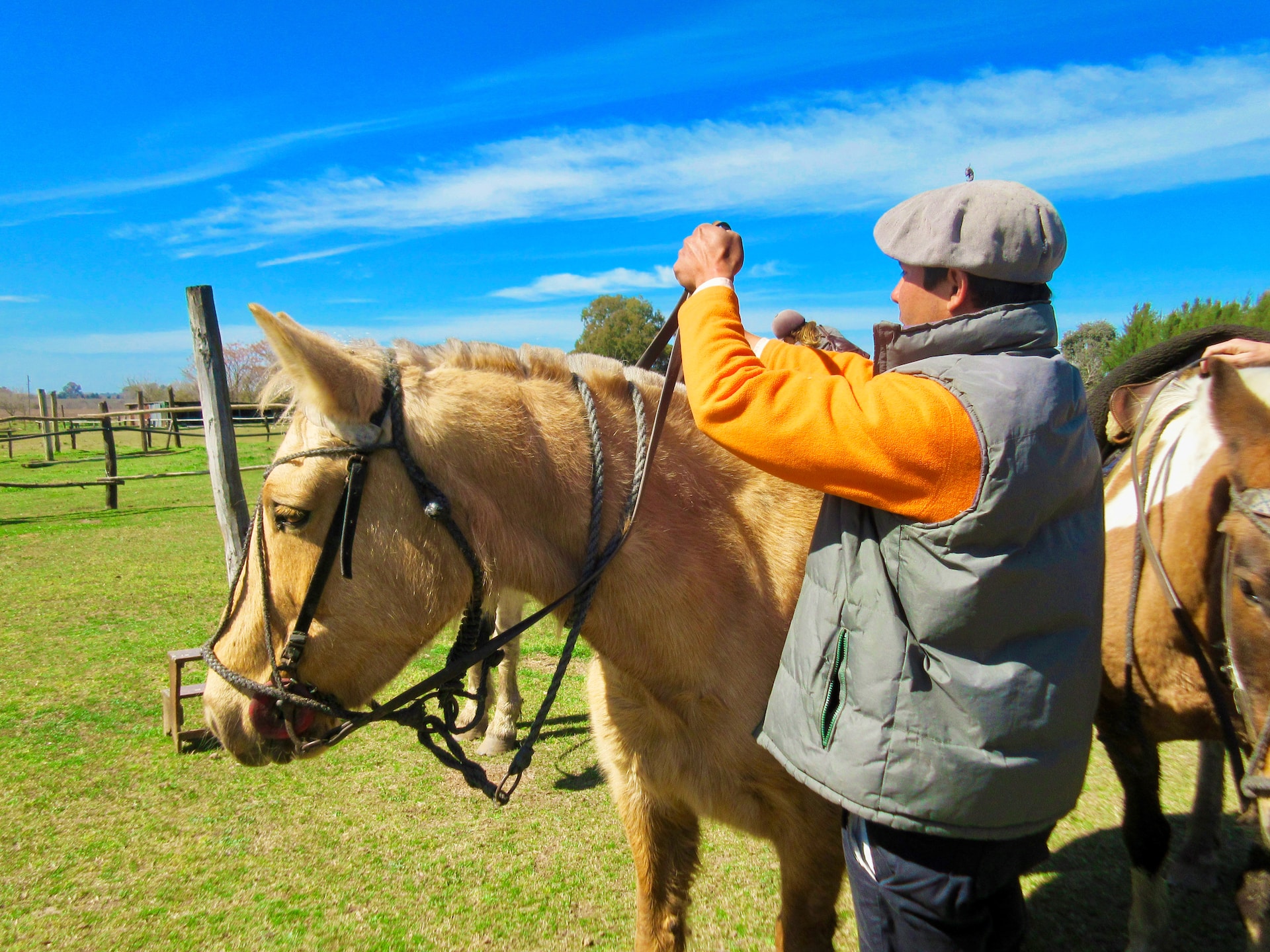 Exploring The Pampas: A Gaucho Adventure In Argentina